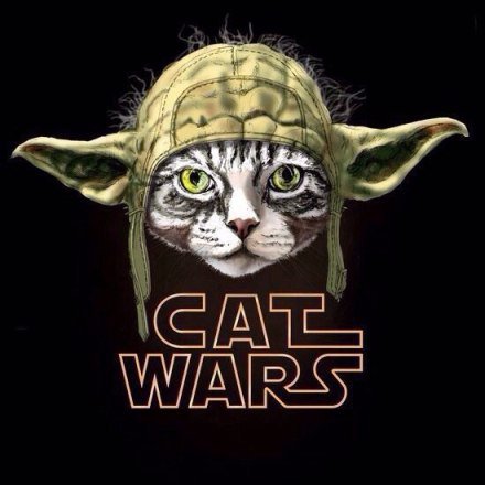 Набор изображений на разные темы 