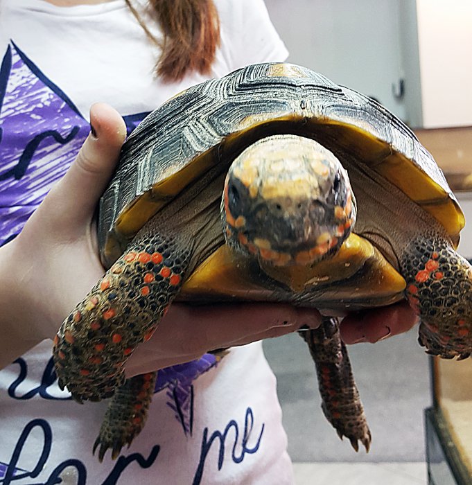 В Красноярске работает уникальная выставка известного коллекционера-биолога