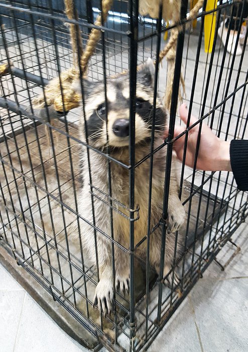 В Красноярске работает уникальная выставка известного коллекционера-биолога