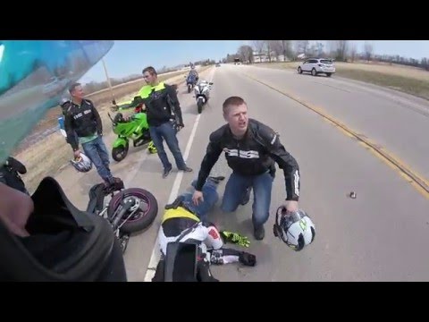 "Чья, ***дь, это была собака?!"