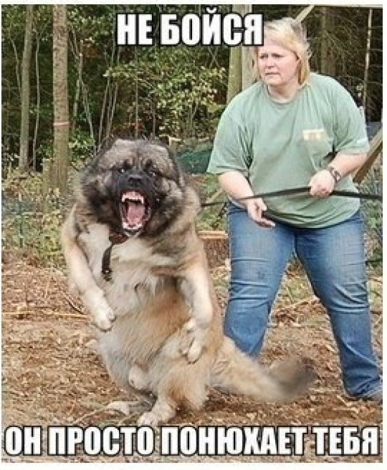 Цитаты простых людей    