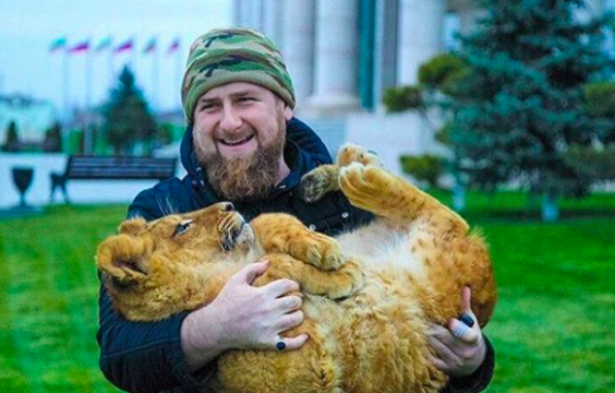 Иностранцы смотрят фото из российского инстаграма Иностранцы смотрят фото из российского инстаграма