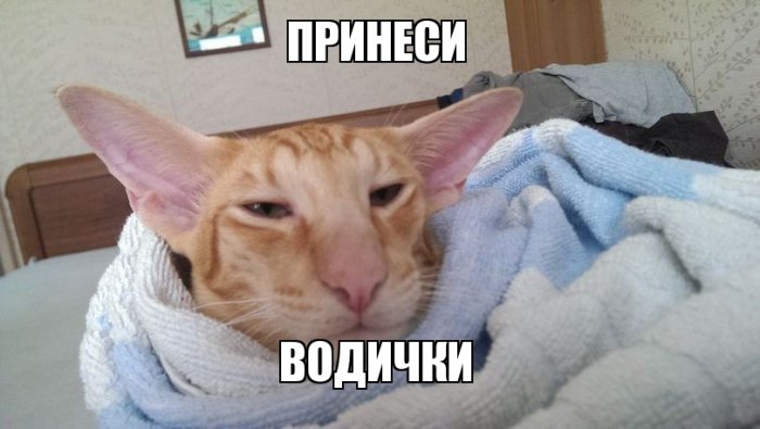  Как отметить майские и не облажаться