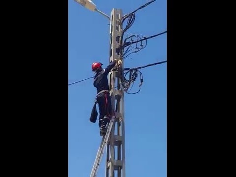 Спасать котов – прямая обязанность пожарных!