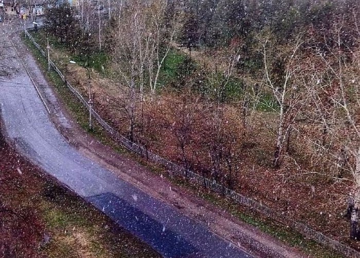 Первомайский снег в Красноярске «взорвал» соцсети