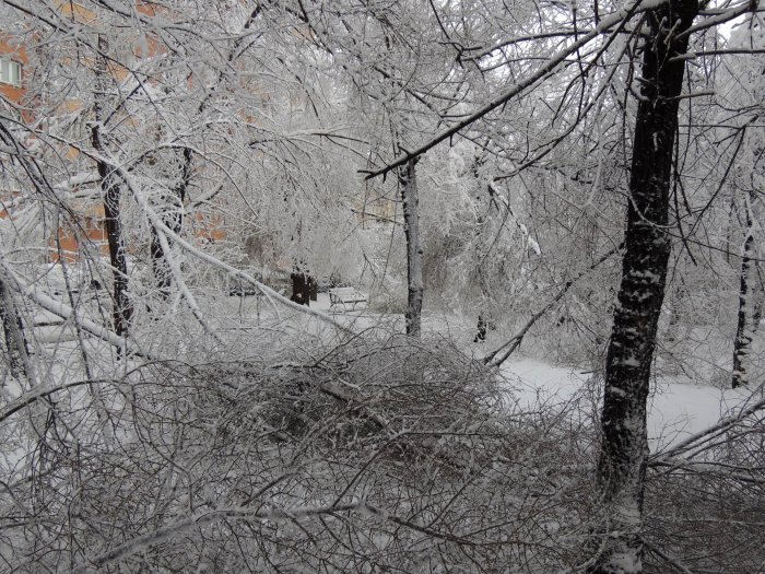 Красноярск 9-е мая