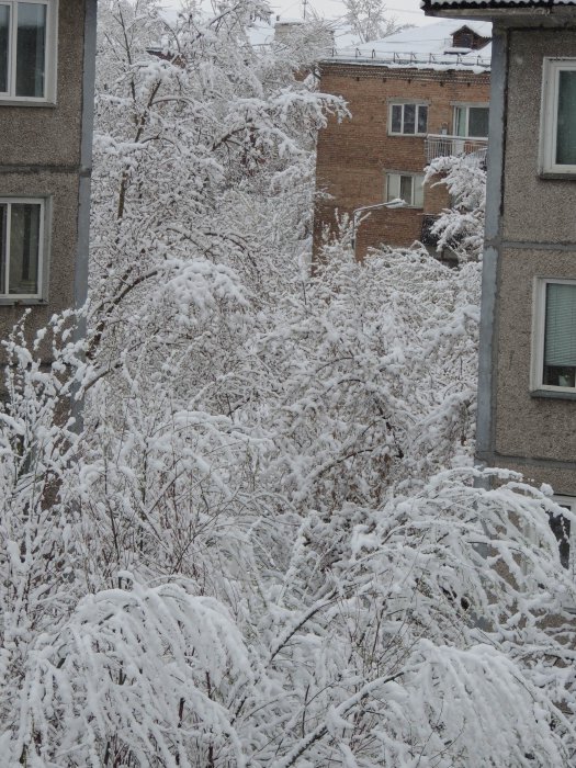 Красноярск 9-е мая