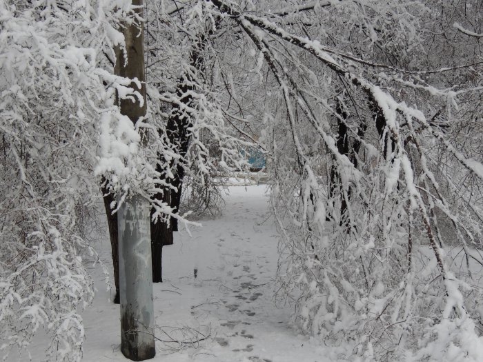 Красноярск 9-е мая