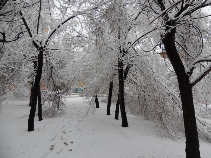 Красноярск 9-е мая