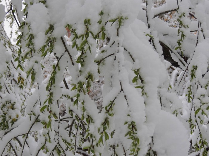 Красноярск 9-е мая