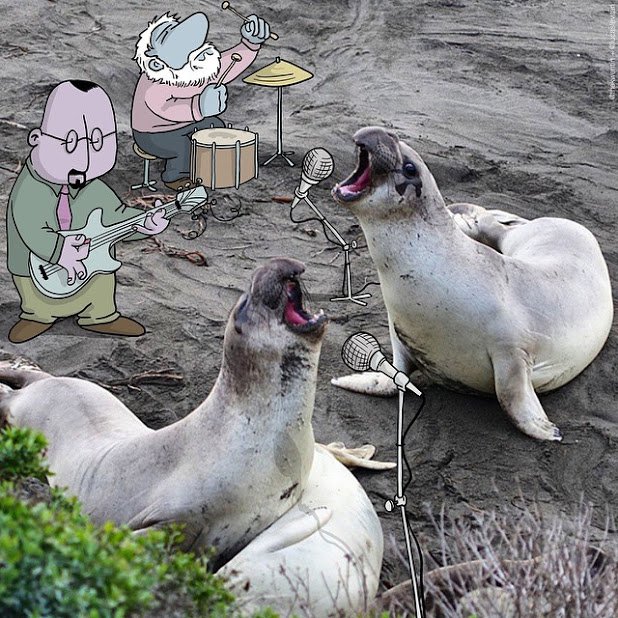 Набор изображений на разные темы