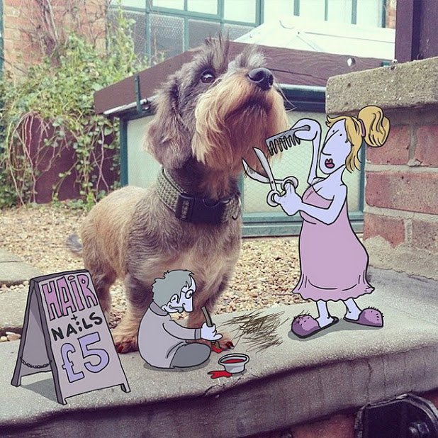 Набор изображений на разные темы