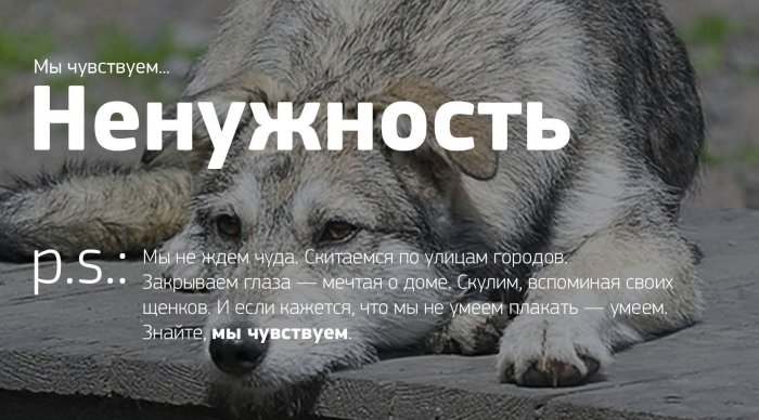 Мы чувствуем...