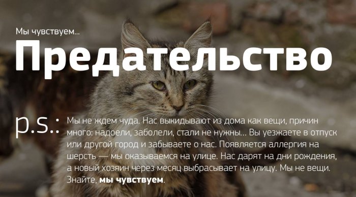 Мы чувствуем...