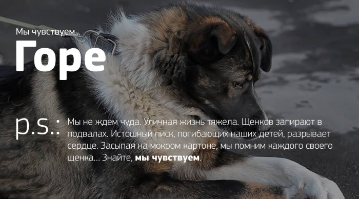 Мы чувствуем...