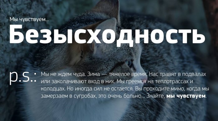 Мы чувствуем...