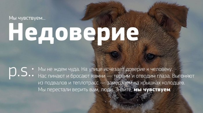 Мы чувствуем...