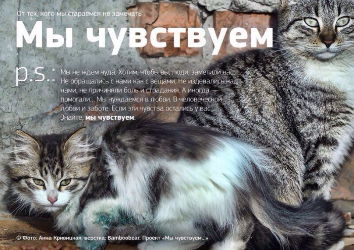 Мы чувствуем...