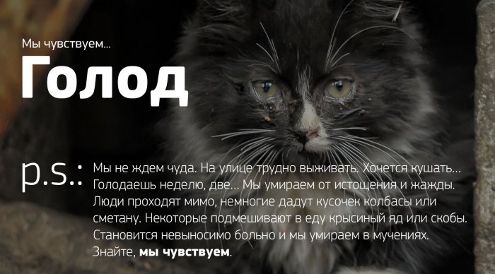 Мы чувствуем...