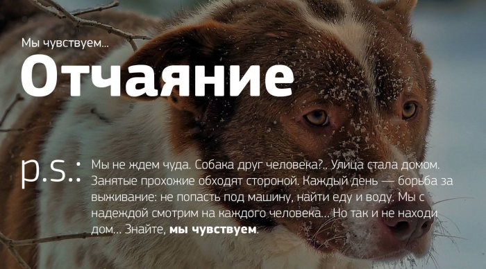 Мы чувствуем...