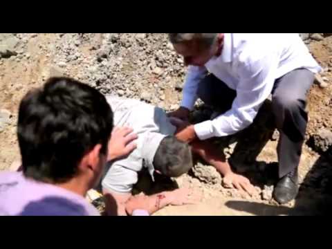 Свадебный кортеж и особенности ингушского характера