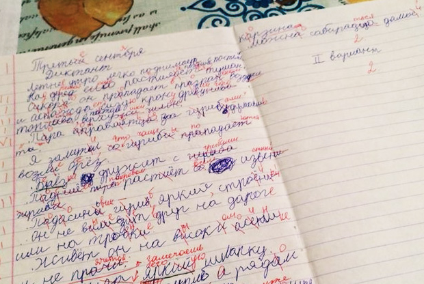 Новые Шариковы: поколение функционально безграмотных