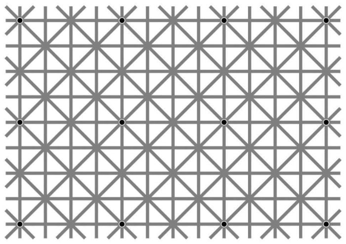 Оптическая иллюзия Нинье взбудоражила пользователей сети 