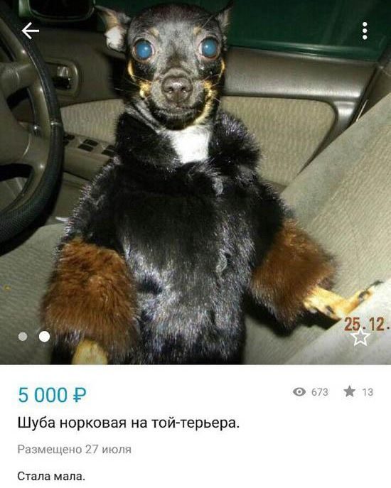  Приколы с авито
