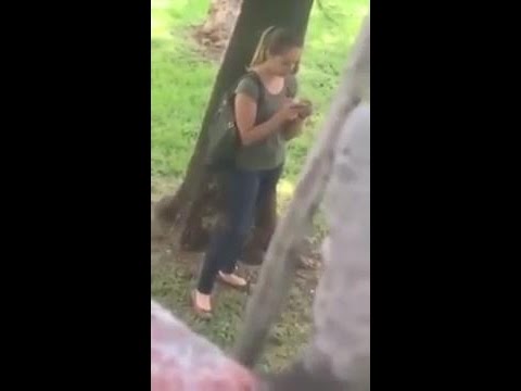 Киса работает!