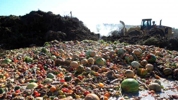 Российские экономисты сочли несущественным ущерб Запада от контрсанкций