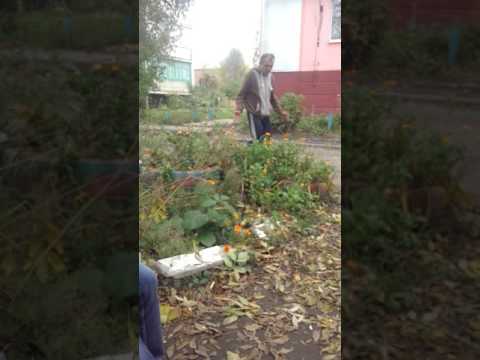 Драка! Гуманоиды на районах!