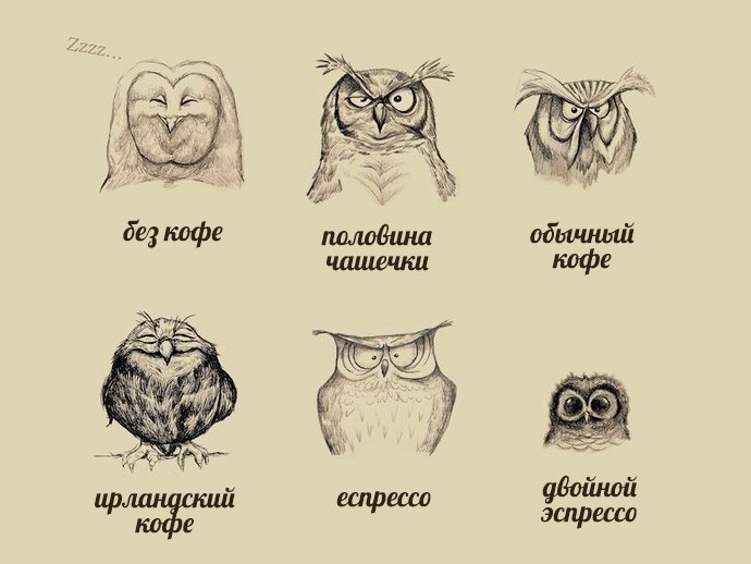 Забавные картинки