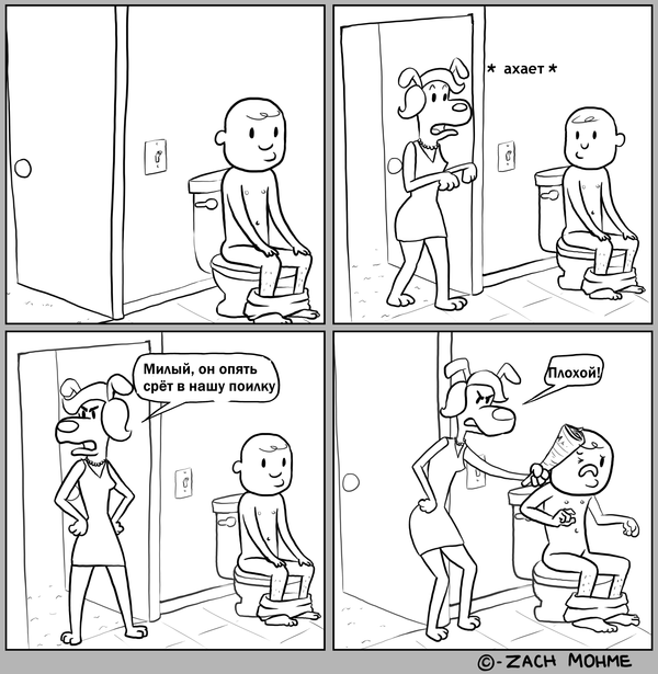 Забавные картинки