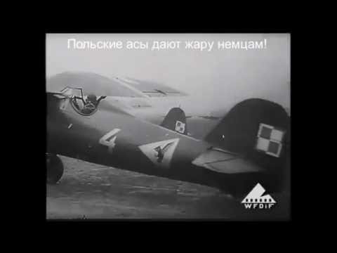 Альтернативная история по-польски