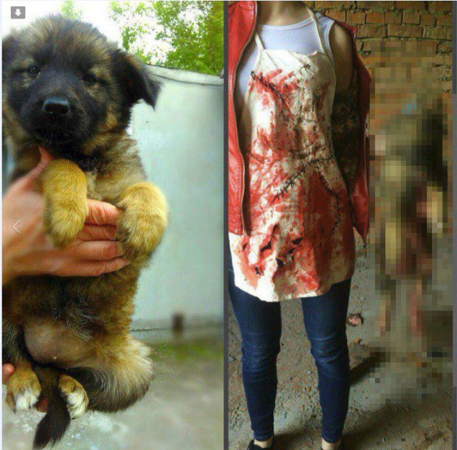 Хабаровские живодёрки