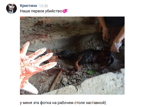 Хабаровские живодёрки