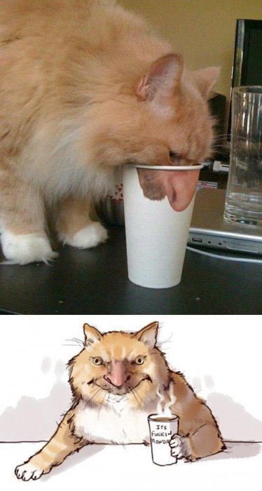 Забавные картинки