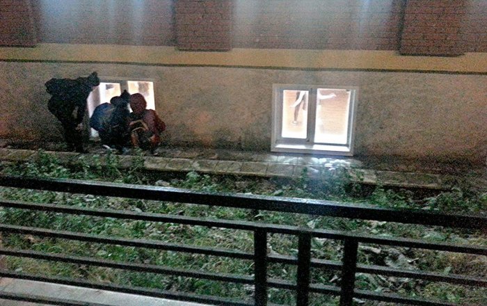 Забавные картинки