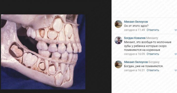 Забавные картинки