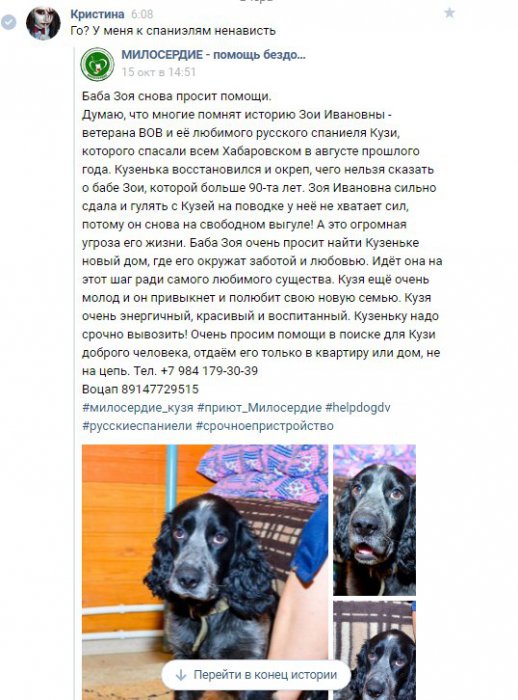 Хабаровские живодёрки