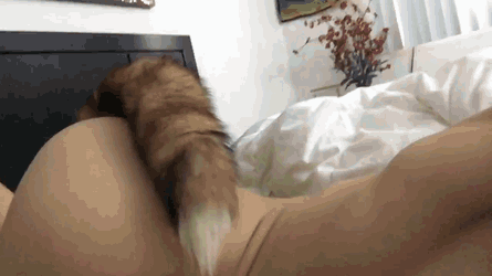 Девушки бывают разные