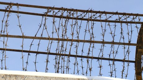 В пензенской колонии до смерти забили педофила В пензенской колонии до смерти забили педофила