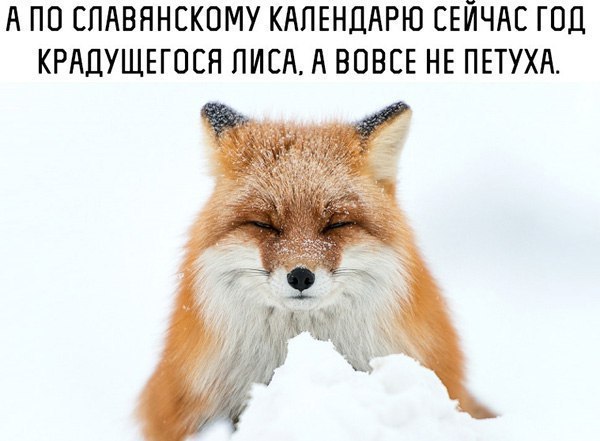 Девушки бывают разные