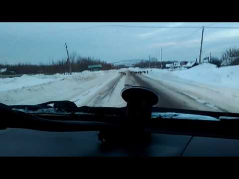 Не бойтесь, они не кусаются!