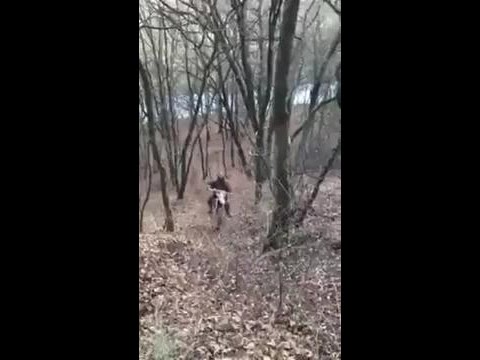 Мастер парковки!