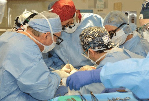  В Китае успешно завершена первая в мире операция по пересадке головы обезьяны