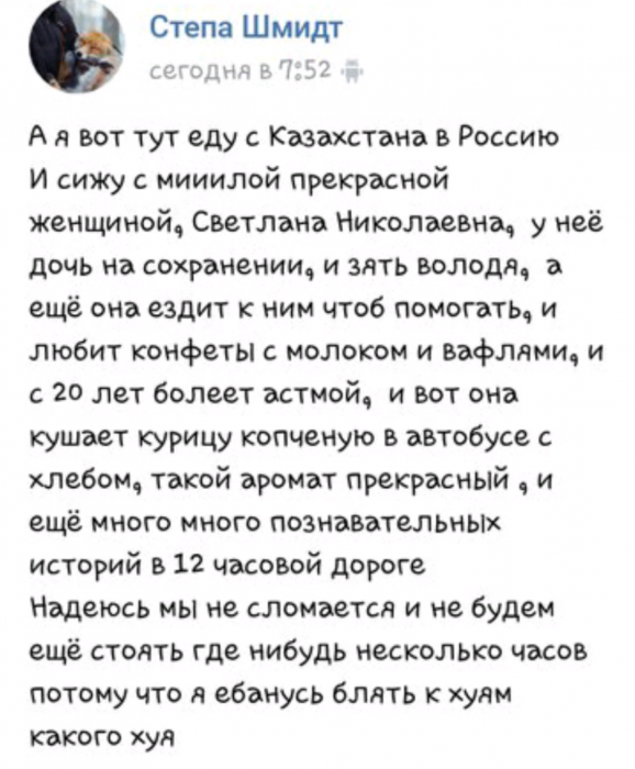 Забавные картинки