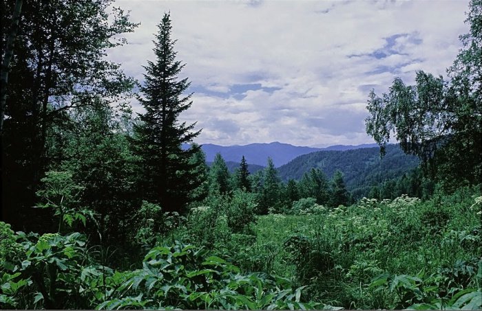  Странный случай в армии