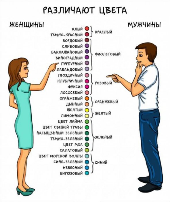 Мужчины и женщины: главные отличия