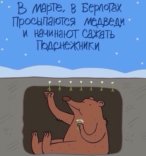 Забавные картинки